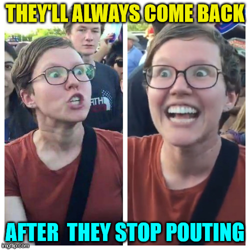 I'm not coming back... I'm back... LOL | THEY'LL ALWAYS COME BACK; AFTER  THEY STOP POUTING | image tagged in hypocrite liberal | made w/ Imgflip meme maker
