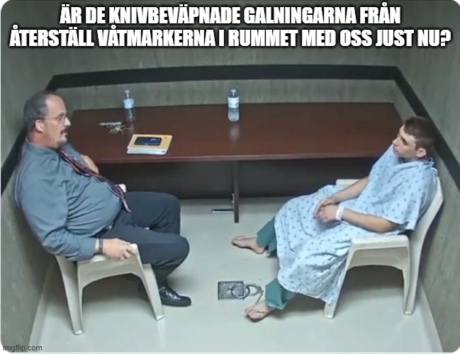 Is x in the room with us right now? | ÄR DE KNIVBEVÄPNADE GALNINGARNA FRÅN ÅTERSTÄLL VÅTMARKERNA I RUMMET MED OSS JUST NU? | image tagged in is x in the room with us right now | made w/ Imgflip meme maker