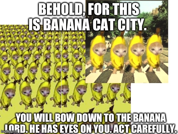 B A N A N A | BEHOLD, FOR THIS IS BANANA CAT CITY. YOU WILL BOW DOWN TO THE BANANA LORD. HE HAS EYES ON YOU. ACT CAREFULLY. | image tagged in b a n a n a | made w/ Imgflip meme maker