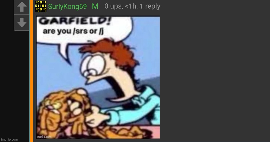 Rare footage of surlykong acting like an msmg user | made w/ Imgflip meme maker
