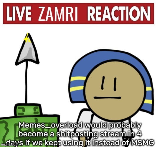 Live zamri reaction | Memes_overload would probably become a shitposting stream in 4 days if we kept using it instead of MSMG | image tagged in live zamri reaction | made w/ Imgflip meme maker