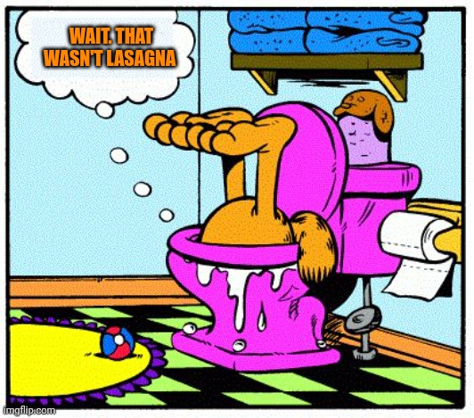 But why? Why would you do that? | WAIT. THAT WASN'T LASAGNA | image tagged in garfield in toilet,but why why would you do that,garfield | made w/ Imgflip meme maker