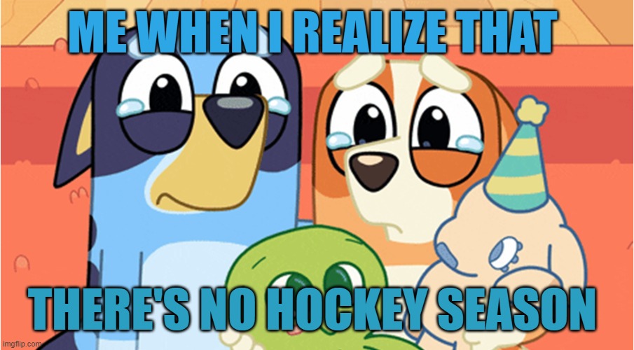 bluey memes | ME WHEN I REALIZE THAT; THERE'S NO HOCKEY SEASON | image tagged in bluey memes | made w/ Imgflip meme maker