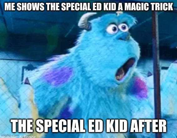 it was a cup magic trick | ME SHOWS THE SPECIAL ED KID A MAGIC TRICK; THE SPECIAL ED KID AFTER | image tagged in magic | made w/ Imgflip meme maker