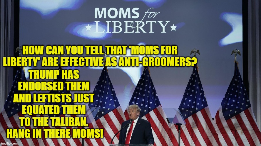 You know they are good when leftists are terrified of their effectiveness. | TRUMP HAS ENDORSED THEM AND LEFTISTS JUST EQUATED THEM TO THE TALIBAN.  HANG IN THERE MOMS! HOW CAN YOU TELL THAT 'MOMS FOR LIBERTY' ARE EFFECTIVE AS ANTI-GROOMERS? | image tagged in truth | made w/ Imgflip meme maker