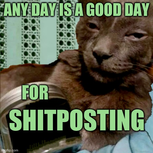 It's a Shitpost Day | ANY DAY IS A GOOD DAY; FOR; SHITPOSTING | image tagged in ship osta 4 lyfe,cats,shitpost,bullshit,meanwhile on imgflip,what if i told you | made w/ Imgflip meme maker