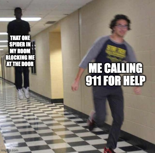 this is me everyday | THAT ONE SPIDER IN MY ROOM BLOCKING ME AT THE DOOR; ME CALLING 911 FOR HELP | image tagged in floating boy chasing running boy | made w/ Imgflip meme maker