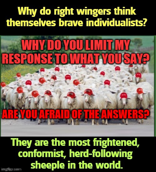 Controling The Naravitve | WHY DO YOU LIMIT MY RESPONSE TO WHAT YOU SAY? ARE YOU AFRAID OF THE ANSWERS? | image tagged in scared cat,chicken shit,live long and peace | made w/ Imgflip meme maker