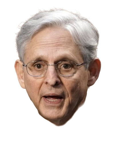 High Quality merrick garland Blank Meme Template