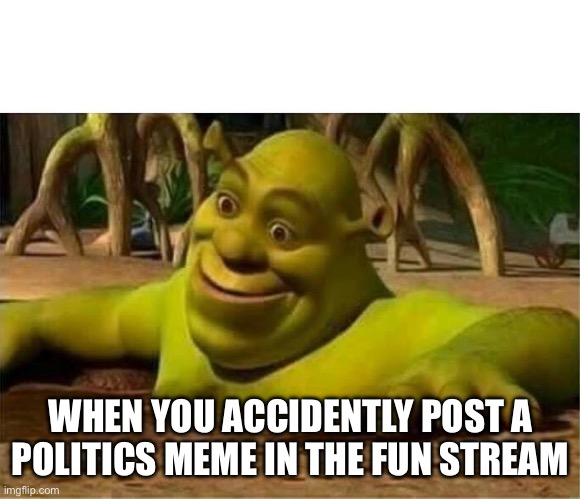 True story | WHEN YOU ACCIDENTALLY POST A POLITICS MEME IN THE FUN STREAM | image tagged in shrek | made w/ Imgflip meme maker