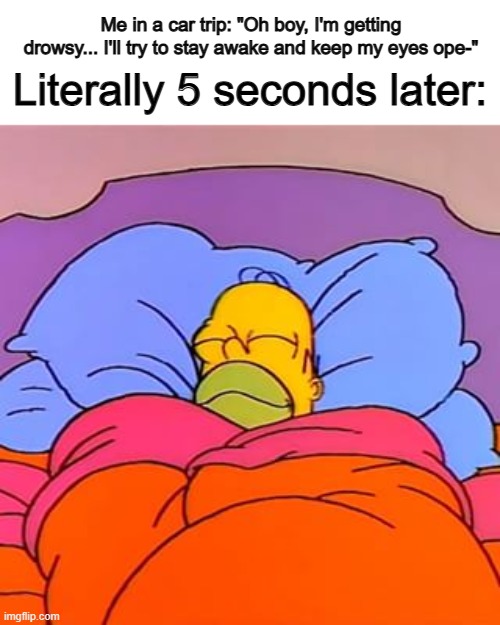 I fall asleep really quick when I'm drowsy XD | Me in a car trip: "Oh boy, I'm getting drowsy... I'll try to stay awake and keep my eyes ope-"; Literally 5 seconds later: | image tagged in homer simpson sleeping happy | made w/ Imgflip meme maker
