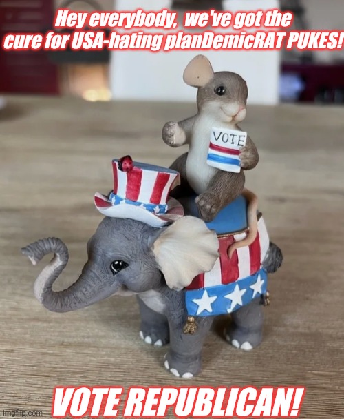 The Solution Is Clear | Hey everybody,  we've got the cure for USA-hating planDemicRAT PUKES! VOTE REPUBLICAN! | image tagged in vote,president trump,voting,republican | made w/ Imgflip meme maker