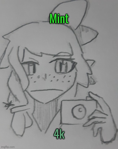 Mint (request for Natthegoofyahhmew77 ) | Mint; 4k | image tagged in mint 4k | made w/ Imgflip meme maker
