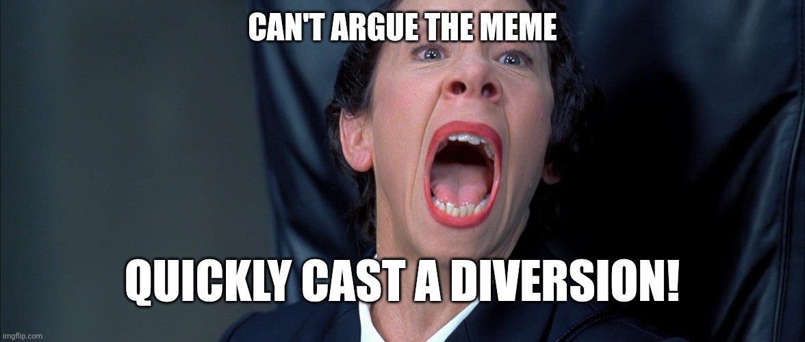 Frau Farbissina | CAN'T ARGUE THE MEME QUICKLY CAST A DIVERSION! | image tagged in frau farbissina | made w/ Imgflip meme maker