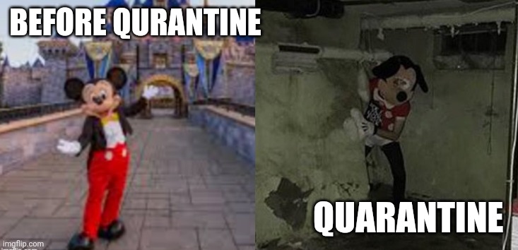 Before and after qurantine | BEFORE QURANTINE; QUARANTINE | image tagged in good/bad disney world | made w/ Imgflip meme maker