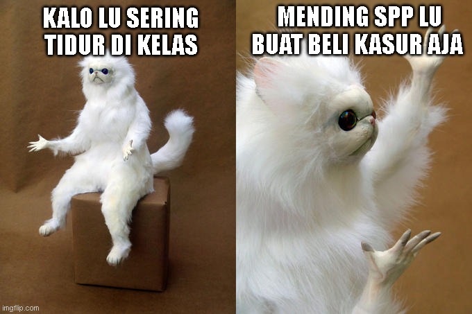 duid spp | MENDING SPP LU BUAT BELI KASUR AJA; KALO LU SERING TIDUR DI KELAS | image tagged in memes,persian cat room guardian | made w/ Imgflip meme maker