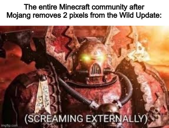 (I'm talking about fireflies btw :) | The entire Minecraft community after Mojang removes 2 pixels from the Wild Update: | image tagged in angery | made w/ Imgflip meme maker