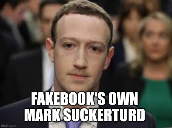 Mark Zuckerberg | FAKEBOOK'S OWN 
MARK SUCKERTURD | image tagged in mark zuckerberg | made w/ Imgflip meme maker