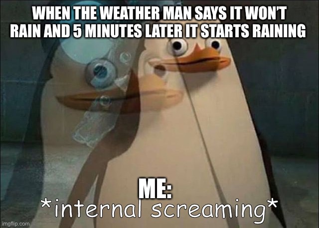 Private Internal Screaming | WHEN THE WEATHER MAN SAYS IT WON’T RAIN AND 5 MINUTES LATER IT STARTS RAINING; ME: | image tagged in private internal screaming | made w/ Imgflip meme maker