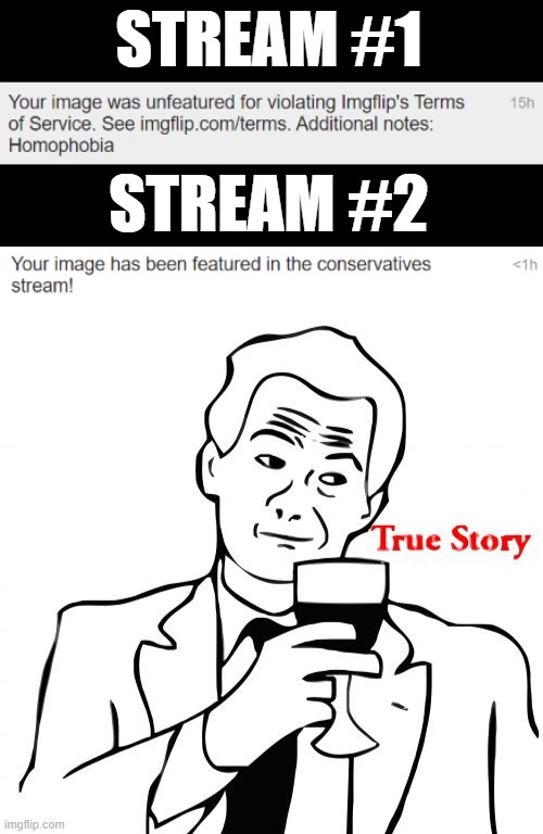 Sometimes Posting to 2 Streams Gives one Insights | STREAM #1; STREAM #2 | image tagged in memes,true story | made w/ Imgflip meme maker