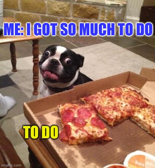 Dog parenting | ME: I GOT SO MUCH TO DO; TO DO | image tagged in hungry pizza dog | made w/ Imgflip meme maker