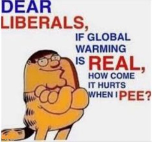 Dear liberals Blank Meme Template