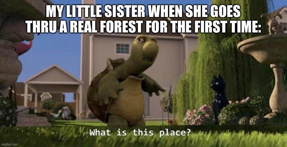 What is this place | MY LITTLE SISTER WHEN SHE GOES THRU A REAL FOREST FOR THE FIRST TIME: | image tagged in what is this place,memes,funny,sisters,front page plz | made w/ Imgflip meme maker