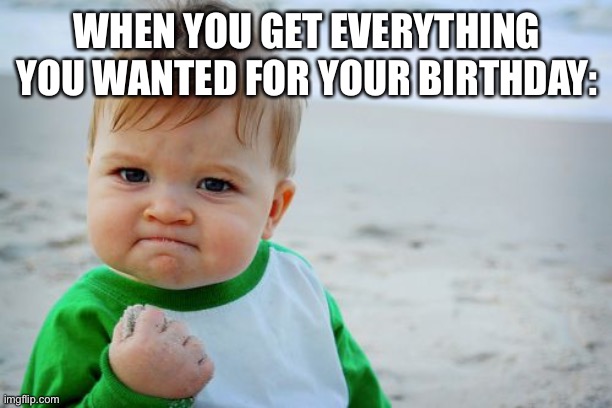 Success Kid Original | WHEN YOU GET EVERYTHING YOU WANTED FOR YOUR BIRTHDAY: | image tagged in memes,success kid original | made w/ Imgflip meme maker