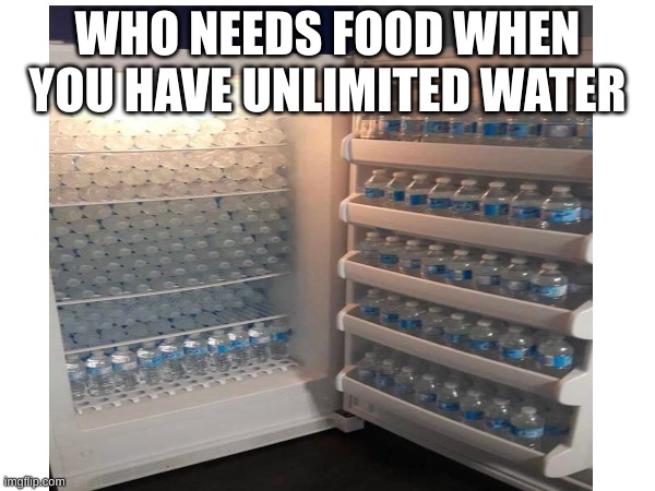 water | WHO NEEDS FOOD WHEN YOU HAVE UNLIMITED WATER | image tagged in funny,memes | made w/ Imgflip meme maker