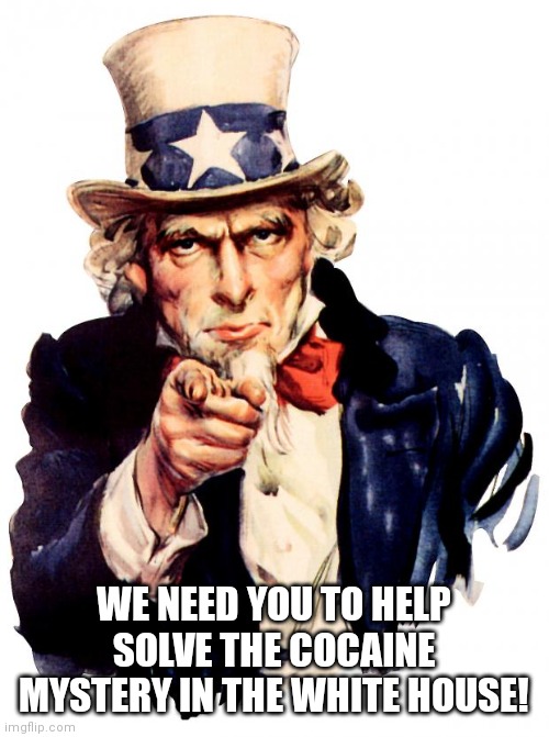 Uncle Sam needs us guys | WE NEED YOU TO HELP SOLVE THE COCAINE MYSTERY IN THE WHITE HOUSE! | image tagged in memes,uncle sam,he needs us now | made w/ Imgflip meme maker