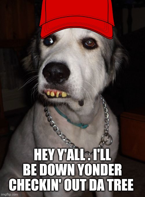 Dog | HEY Y'ALL . I'LL BE DOWN YONDER CHECKIN' OUT DA TREE | image tagged in dog | made w/ Imgflip meme maker