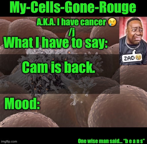 My-Cells-Gone-Rouge announcement | Cam is back. | image tagged in my-cells-gone-rouge announcement | made w/ Imgflip meme maker