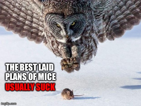 USUALLY SUCK THE BEST LAID PLANS OF MICE | made w/ Imgflip meme maker
