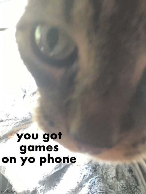 you got games on yo phone | made w/ Imgflip meme maker