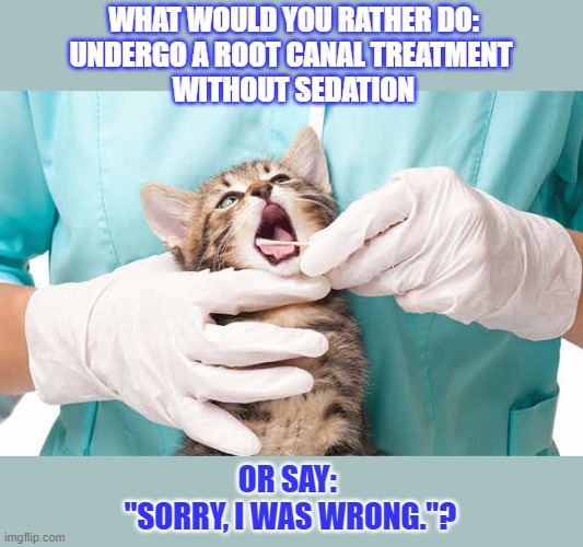 This #lolcat wonders why humans find it so hard to admit they were wrong | WHAT WOULD YOU RATHER DO:

UNDERGO A ROOT CANAL TREATMENT 
WITHOUT SEDATION; OR SAY: 
"SORRY, I WAS WRONG."? | image tagged in lolcat,admit it,i'm sorry,think about it | made w/ Imgflip meme maker