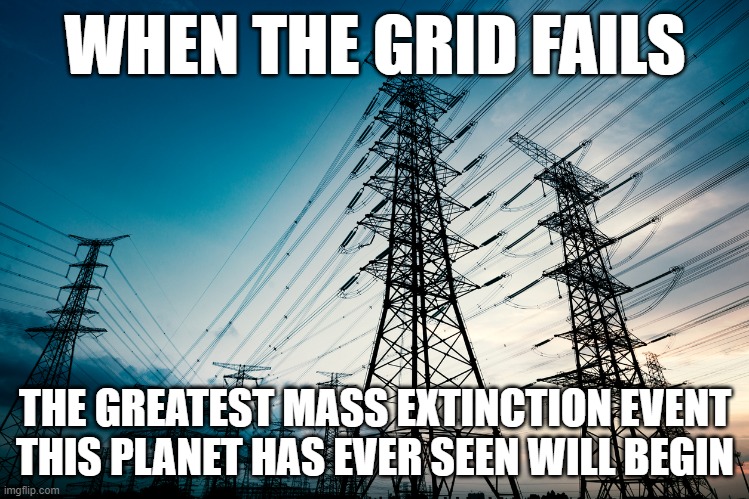 real | WHEN THE GRID FAILS; THE GREATEST MASS EXTINCTION EVENT
THIS PLANET HAS EVER SEEN WILL BEGIN | image tagged in electric,electricity,power,extinction,feminism,feminist | made w/ Imgflip meme maker