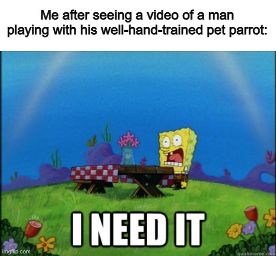 I wish I could have a bird that lets me grab my hand around it's body... 0-0 | Me after seeing a video of a man playing with his well-hand-trained pet parrot: | image tagged in spongebob i need it | made w/ Imgflip meme maker