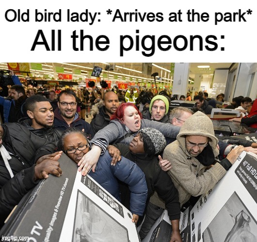 It's a flood of pigeons X_X | Old bird lady: *Arrives at the park*; All the pigeons: | image tagged in black friday | made w/ Imgflip meme maker