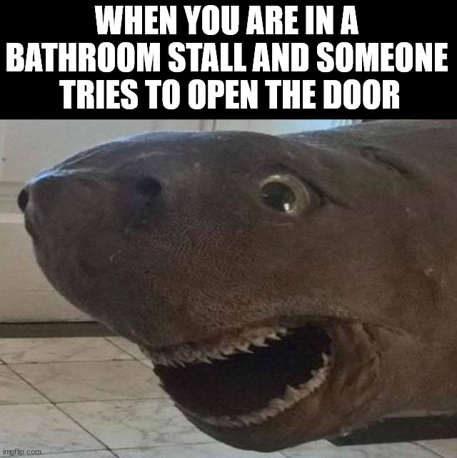 WHEN YOU ARE IN A 
BATHROOM STALL AND SOMEONE 
TRIES TO OPEN THE DOOR | made w/ Imgflip meme maker