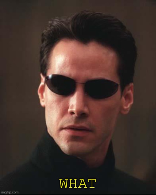 Neo Matrix Keanu Reeves | WHAT | image tagged in neo matrix keanu reeves | made w/ Imgflip meme maker