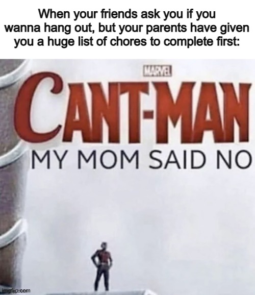 Aw man :( | When your friends ask you if you wanna hang out, but your parents have given you a huge list of chores to complete first: | image tagged in cant man | made w/ Imgflip meme maker