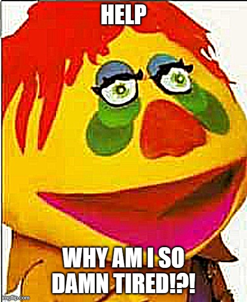 tired mascot | HELP; WHY AM I SO DAMN TIRED!?! | image tagged in tired,fake smile,wierd,goofy ahh | made w/ Imgflip meme maker
