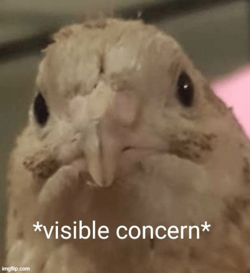 visible concern bird | image tagged in visible concern bird | made w/ Imgflip meme maker