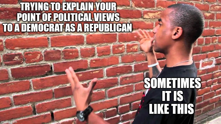 Talking to wall | TRYING TO EXPLAIN YOUR POINT OF POLITICAL VIEWS TO A DEMOCRAT AS A REPUBLICAN SOMETIMES IT IS LIKE THIS | image tagged in talking to wall | made w/ Imgflip meme maker