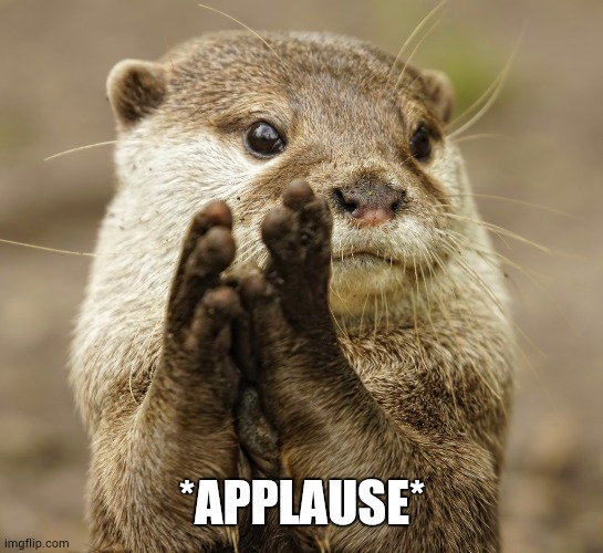 Squirrel Applause | *APPLAUSE* | image tagged in squirrel applause | made w/ Imgflip meme maker