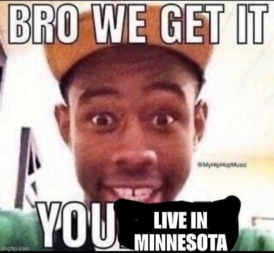 BRO WE GET IT YOU'RE GAY | LIVE IN MINNESOTA | image tagged in bro we get it you're gay | made w/ Imgflip meme maker