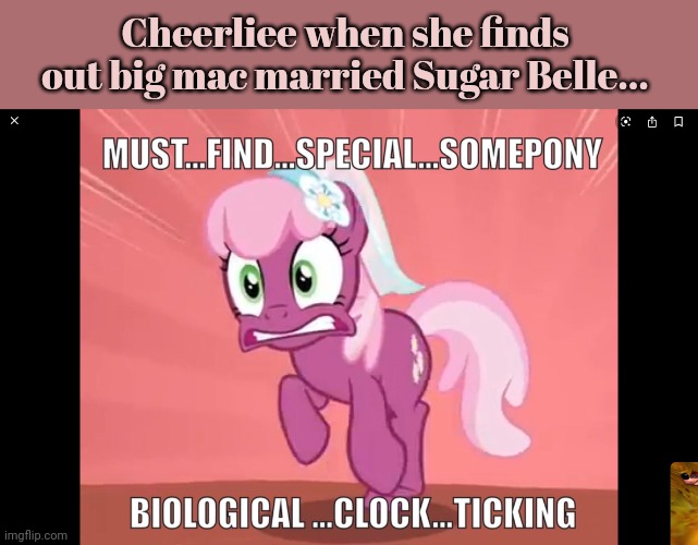 CHEERLIEE THE SEXAY THANG!!!!!!!!!!!!!!!!!!!!!!!!!!!!!!!!!!!!!!! | Cheerliee when she finds out big mac married Sugar Belle... | image tagged in cheerliee the sexay thang | made w/ Imgflip meme maker