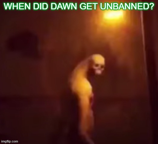 Your IP Address Is On The Internet | WHEN DID DAWN GET UNBANNED? | image tagged in your ip address is on the internet | made w/ Imgflip meme maker