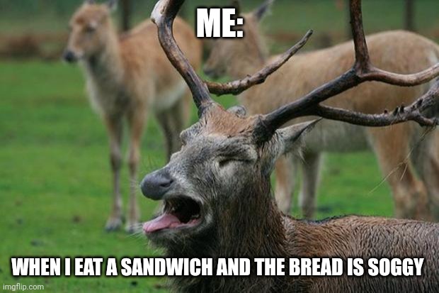 Soggy sandwich bread | ME:; WHEN I EAT A SANDWICH AND THE BREAD IS SOGGY | image tagged in disgusted deer | made w/ Imgflip meme maker