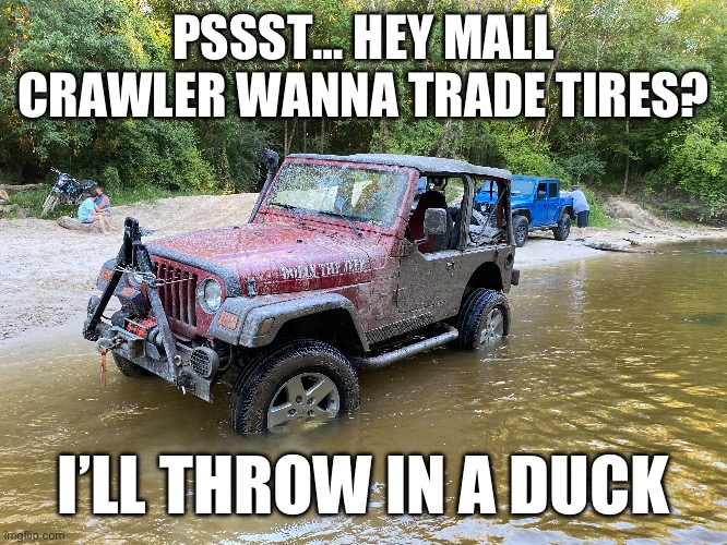 Dollythejeep “wanna trade?” | PSSST… HEY MALL CRAWLER WANNA TRADE TIRES? I’LL THROW IN A DUCK | image tagged in dollythejeep,jeep,off-road | made w/ Imgflip meme maker